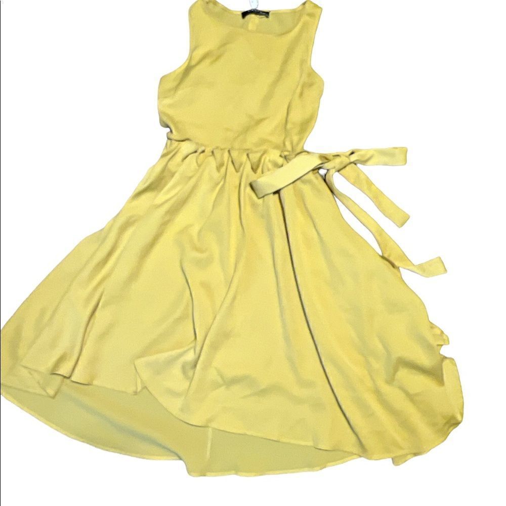 𝅺CAARA Bumblebee Flare Side Tie Flowing Pleated Dress - Picture 4 of 9